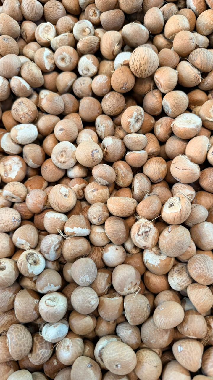 Single Choll (SC) Raas — 65kg Bag