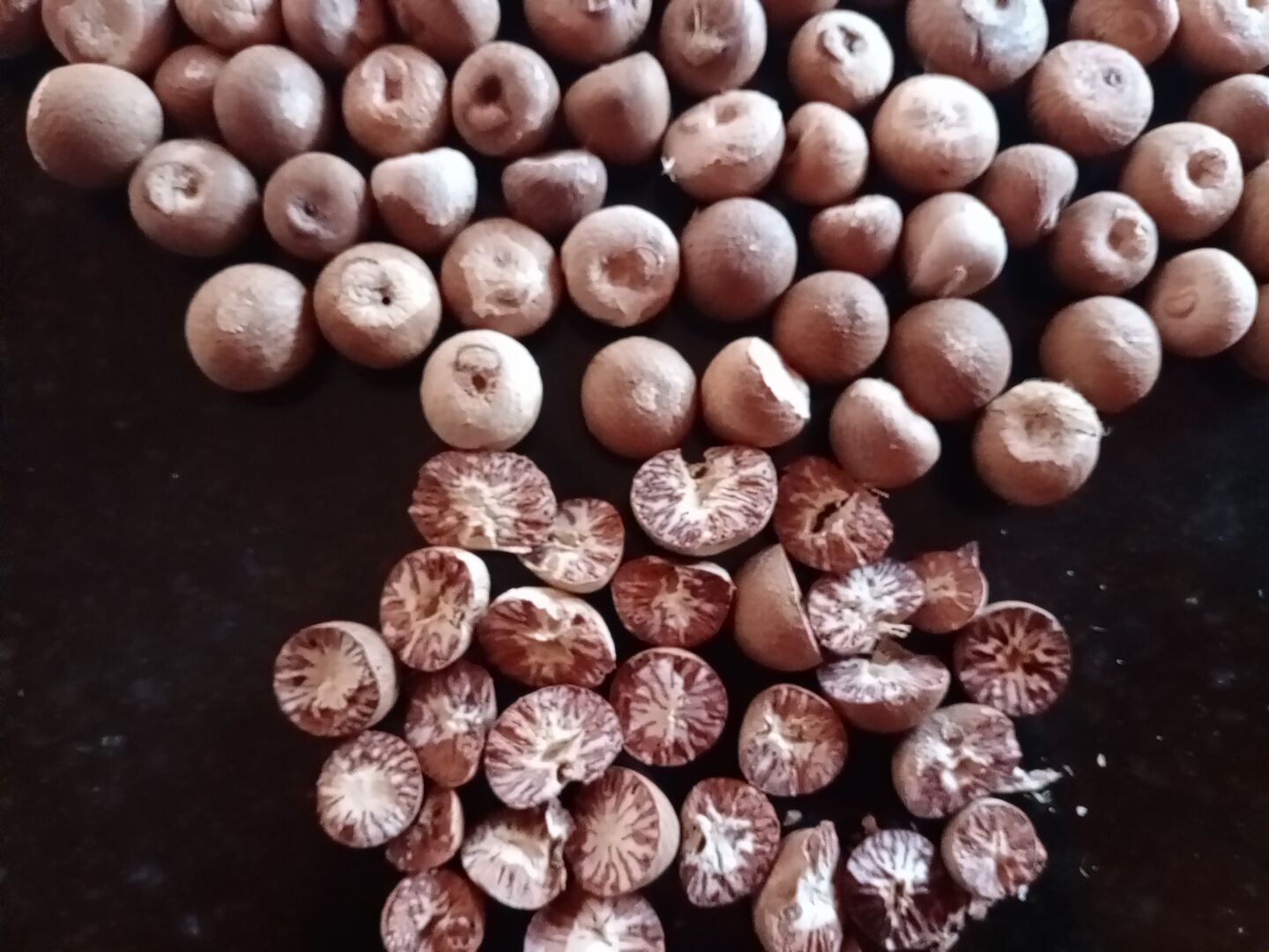 Fresh Nuts (FN) — 20kg Pack